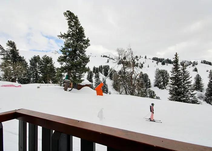 Renove 2 Pieces, 4 Pers, A Belle Plagne - Fr-1-455-148 Apartment